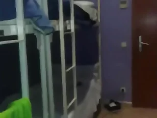 Oso español recibe una paja en un albergue